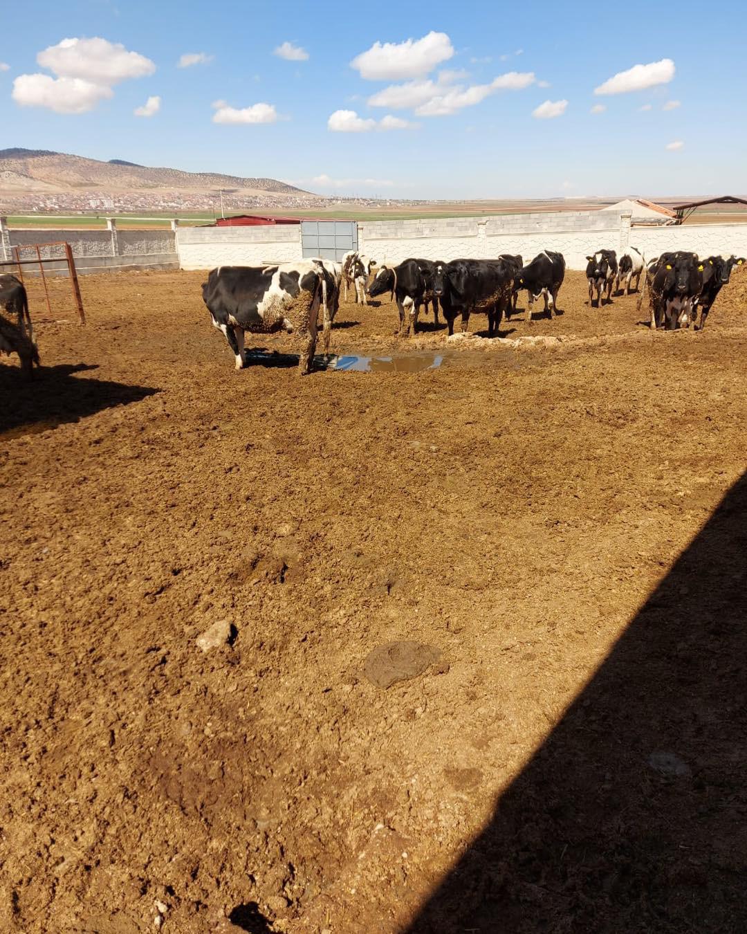 31c93577 f16a 4b0a 9f48 fe8ae5153cbe 