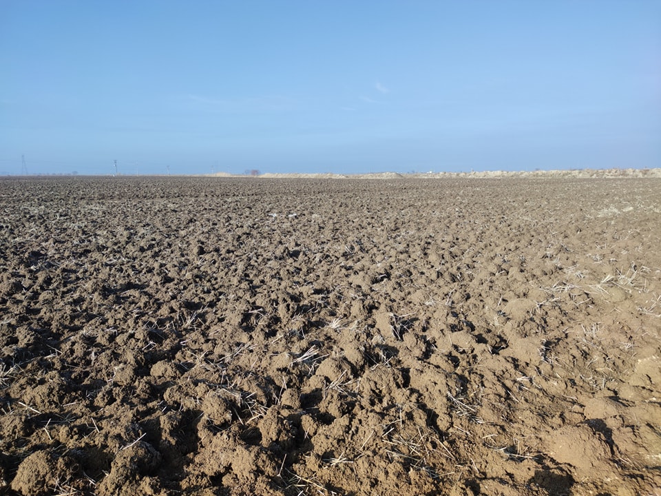 320333754_558160116157442_1770929291884081978_n_(1) 