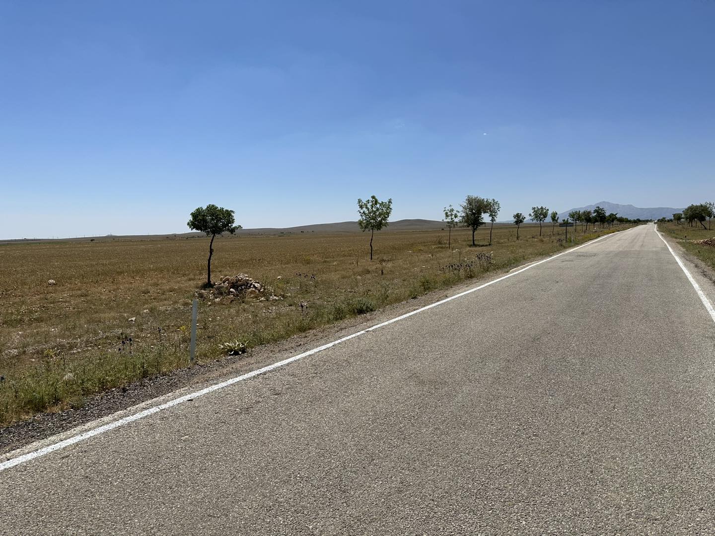 358057382_664013745770190_1531293547475129197_n_(1) 