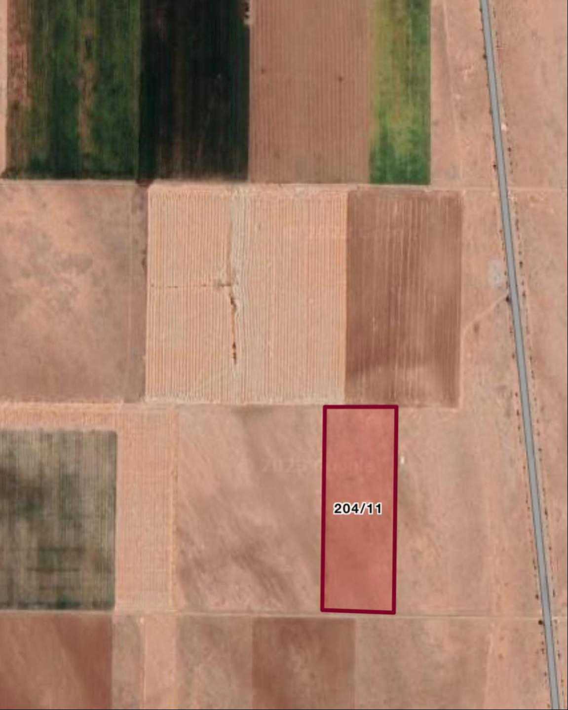 358122669_958166165597388_1405279836016286137_n 