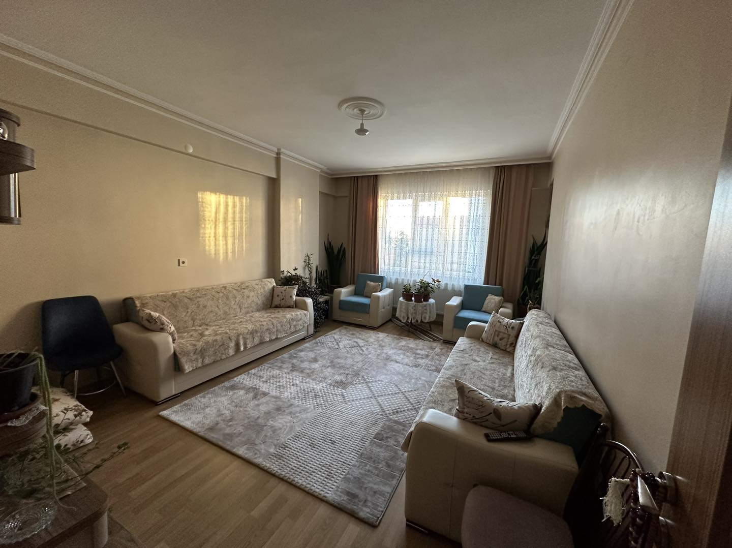 378279572_999601261453878_7254454993248674712_n 