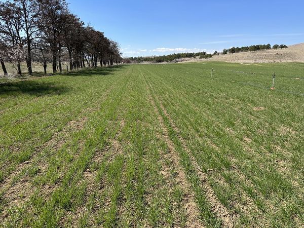 431514557_1121231779290825_2089687441388941354_n 