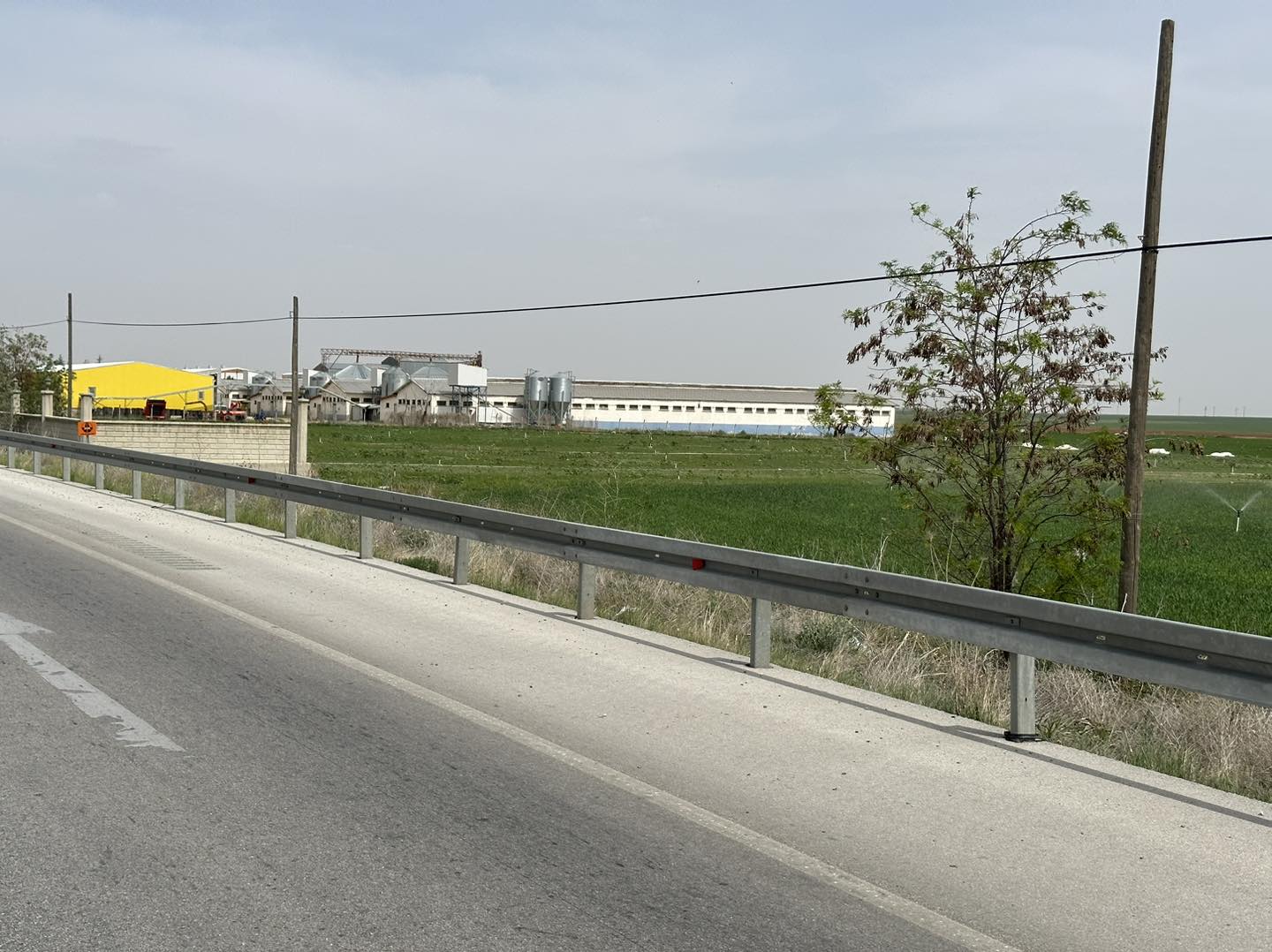 438081442_1144007170346619_1675626260252660454_n 