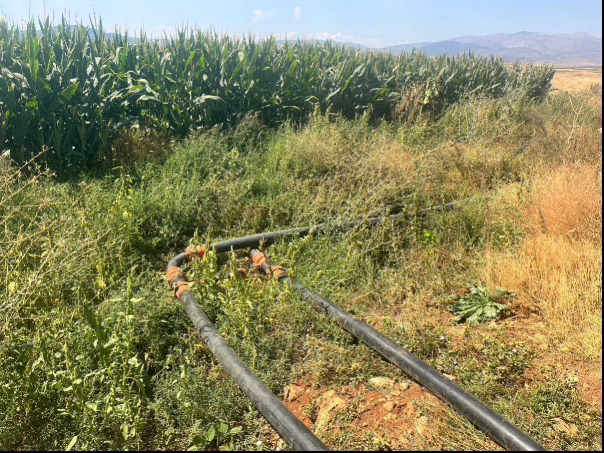 4fd80047 8594 4b9b 84a8 bee868fa8ecb 