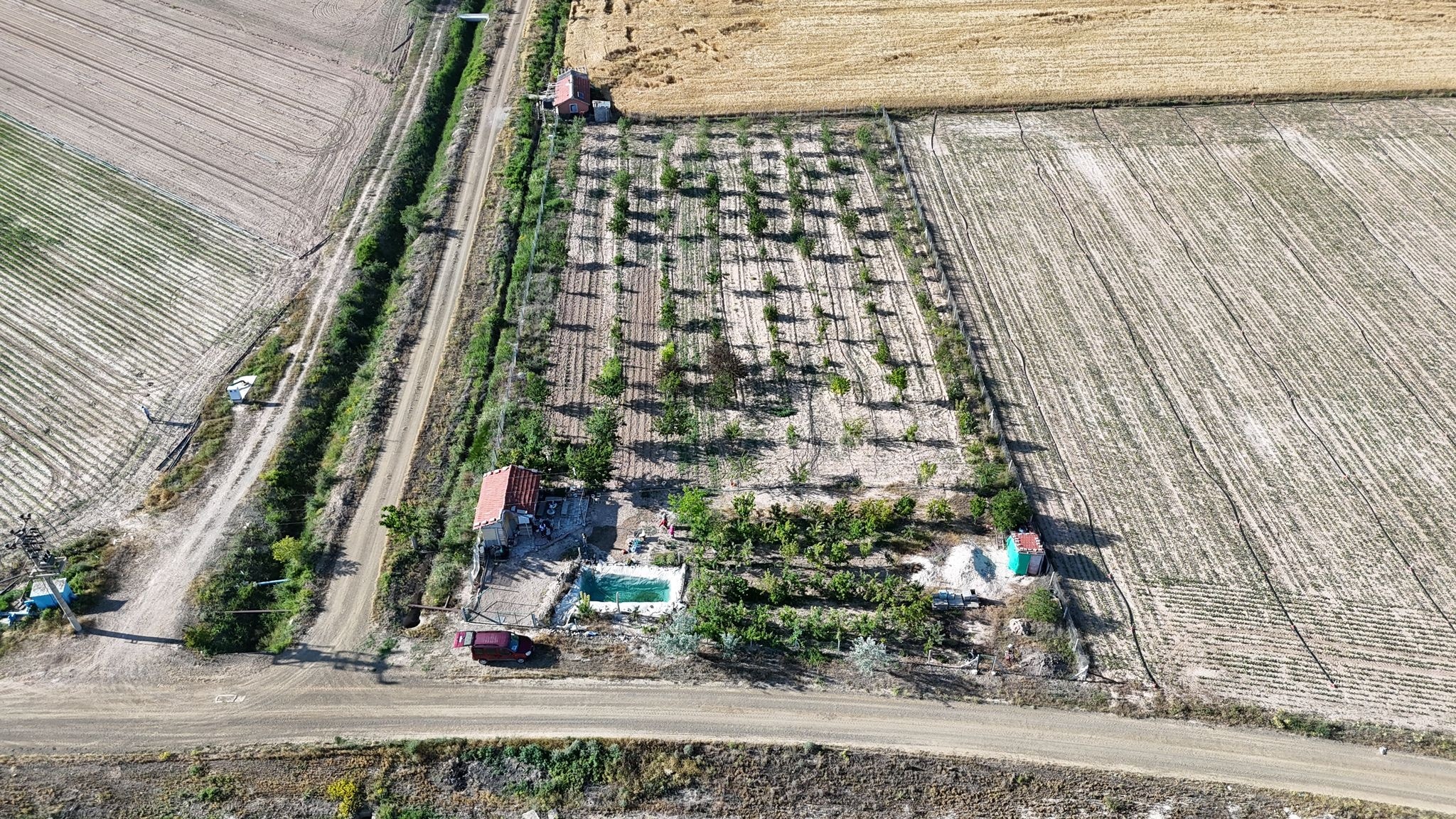 650240138_1243445524637584_2037467315266982085_n 