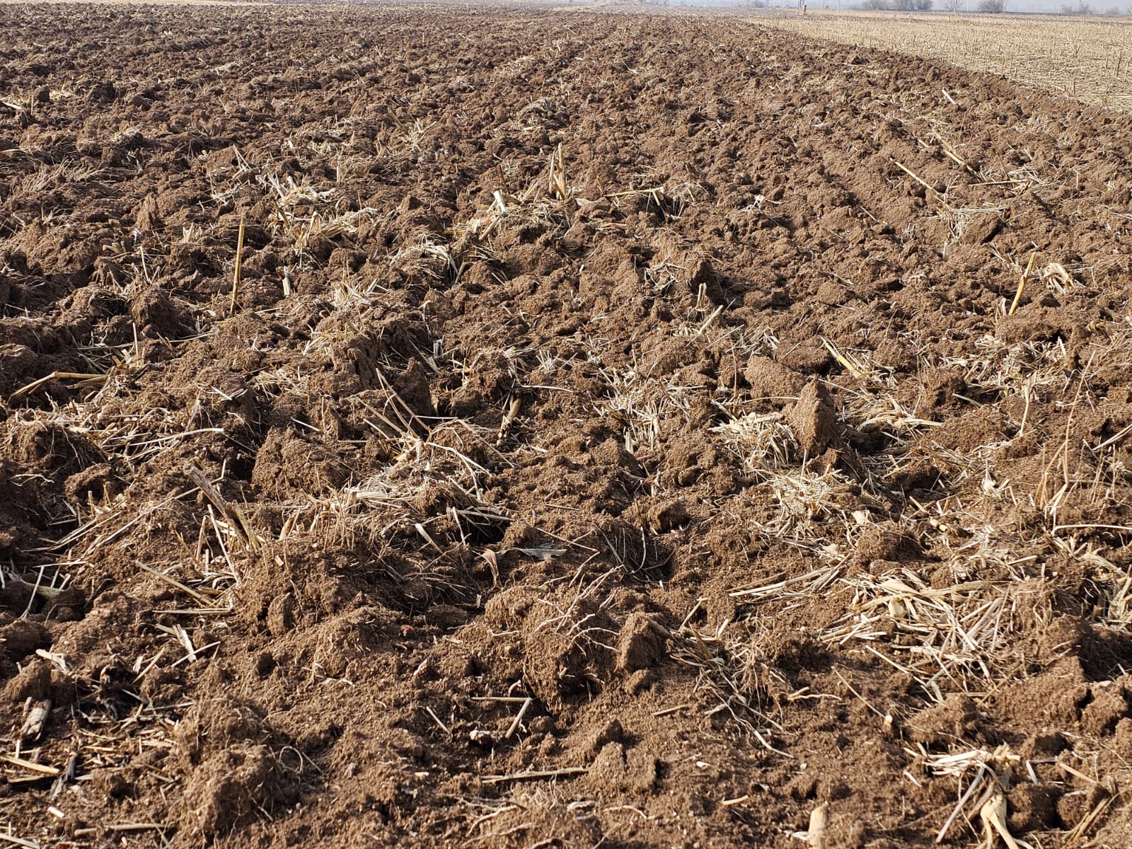 WhatsApp_Image_2025 12 13_at_16_50_50w 