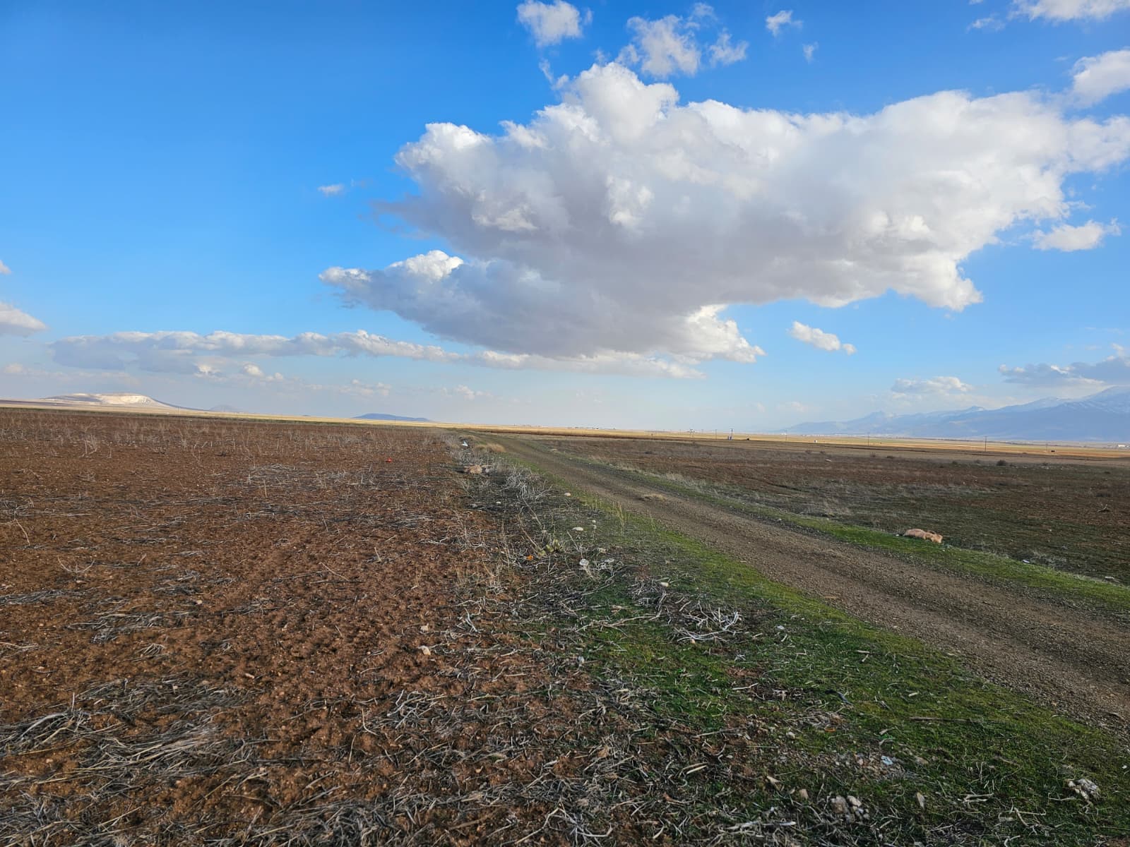 WhatsApp_Image_2026 02 23_at_10_26_40f 