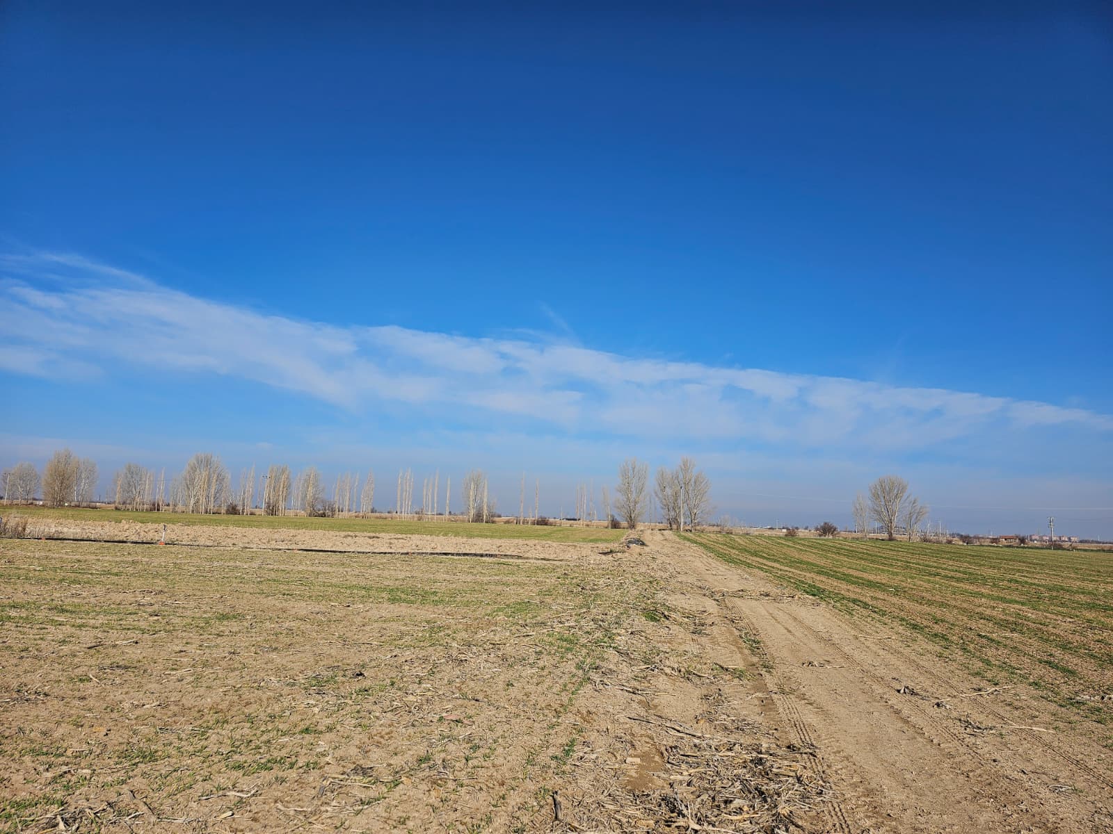 WhatsApp_Image_2026 02 25_at_10_34_14gg 