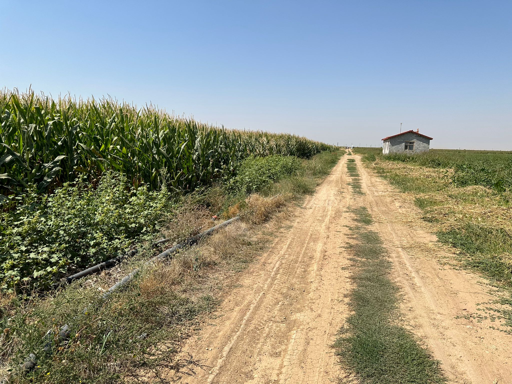 ddf9f8dd 30ad 44be 856d be6493d502ee 